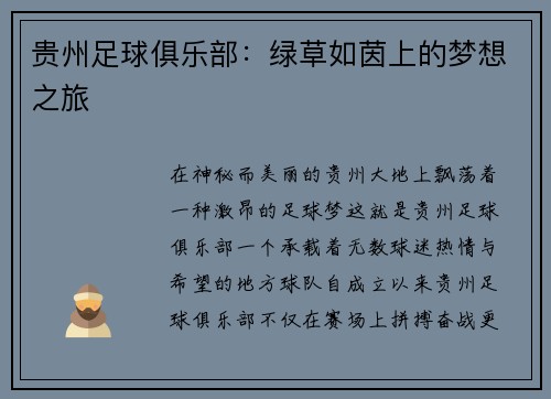 贵州足球俱乐部：绿草如茵上的梦想之旅