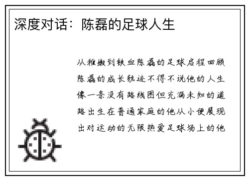 深度对话：陈磊的足球人生